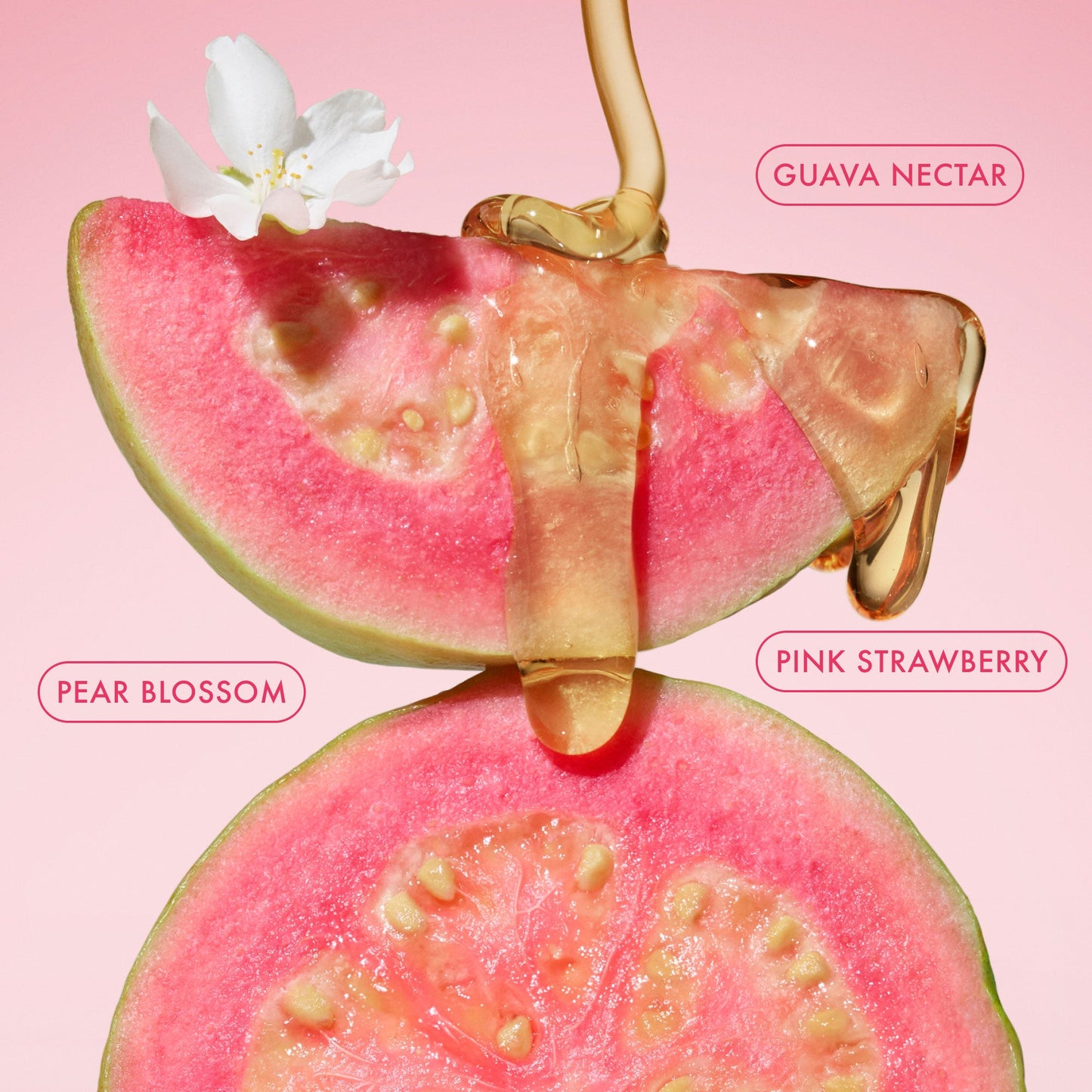 Body Fragrance Mist Pink Guava Travel Size